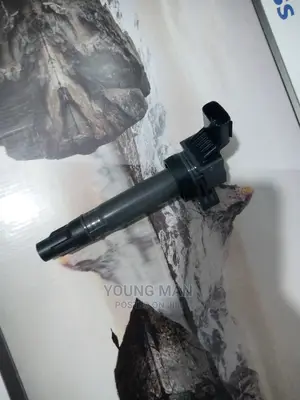 Chevrolet Spark Ignition Coil Original GM