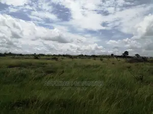 Shiai Hills More Than 20acres of Land Registered Land Title
