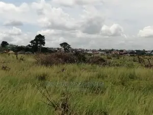 Shiai Hills More Than 20acres of Land It’S a Registered Land