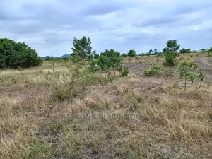 For Sale 5 Acres of Land