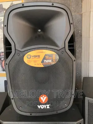 Voyz 15 Inches Rechargeable Speaker