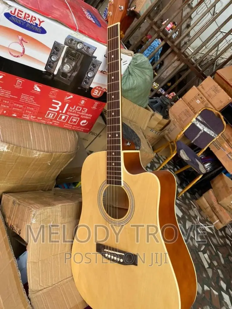 Yamaha Acoustics (Guitar)