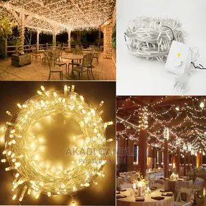 Christmas Light String Light 100m 1000light