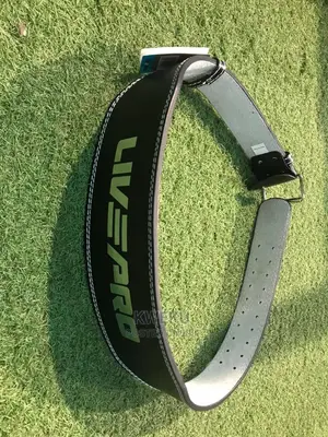 Weight Lifting Belt