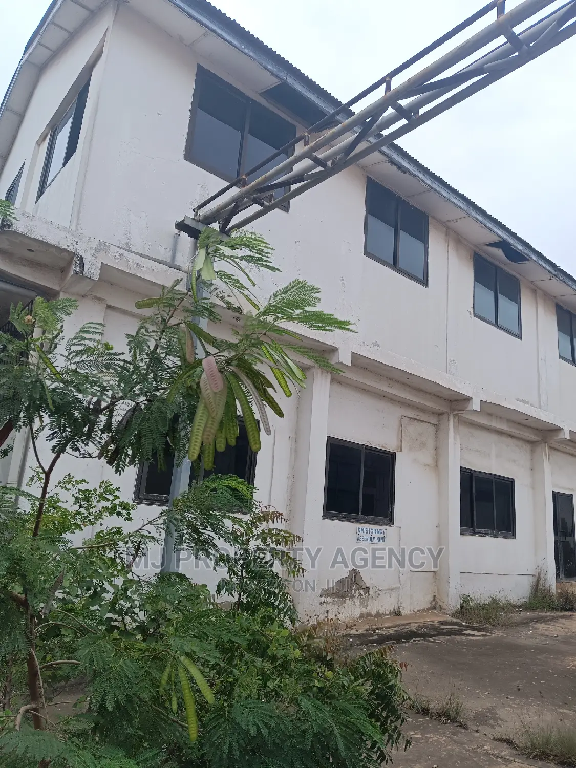 Tuna Processing Company in Tema