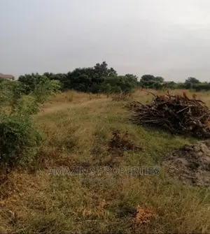 2 Acres of Roadside Land