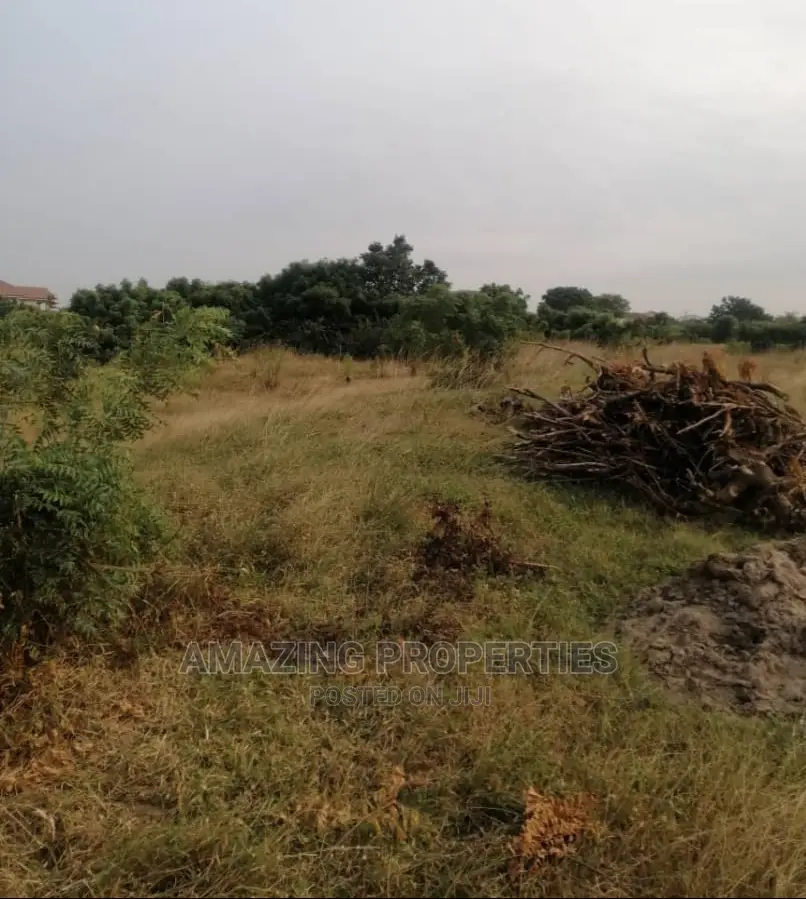2 Acres of Roadside Land