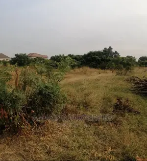 2 Acres of Roadside Land