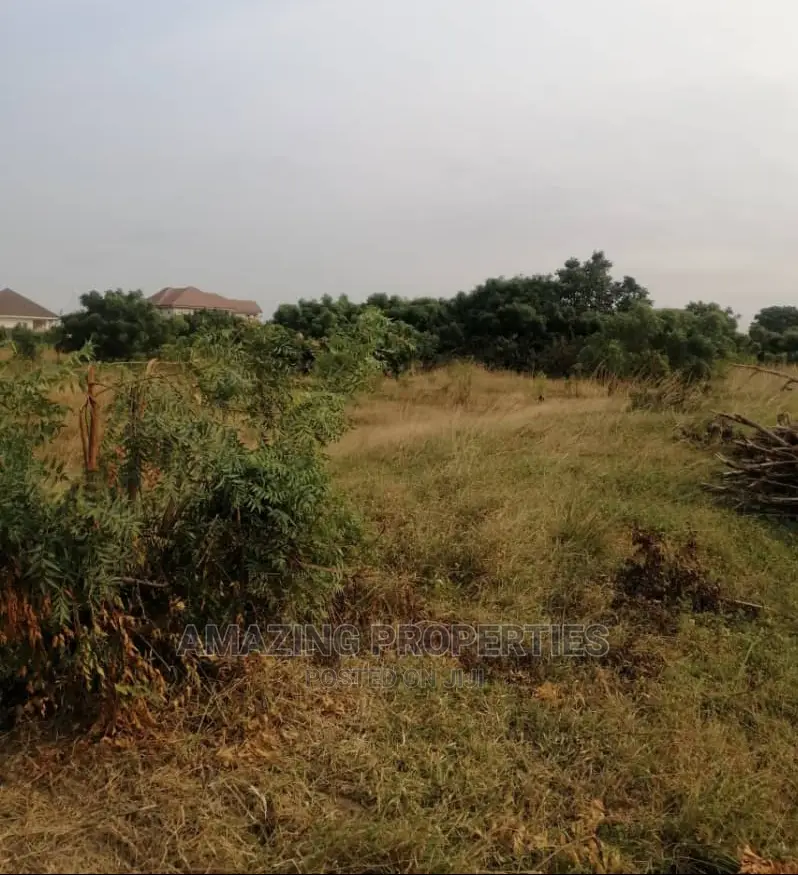 2 Acres of Roadside Land