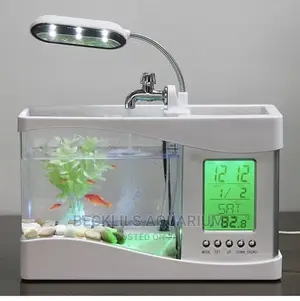 Desktop Usb Mini Fish Tank