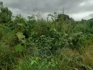 For Sale 6 Plots of Land at Spintex> Com 18