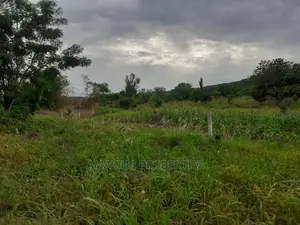 Spintex Manet About 20 Acres Fenced Land (Bare Land)