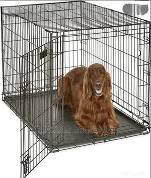 36 Inches Metallic Dog Cages
