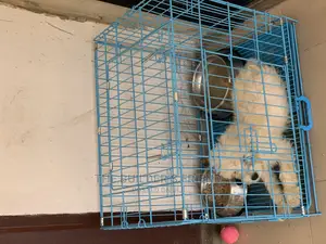 Animal Cage