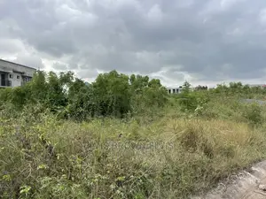 Land for Sale at West Trasacco