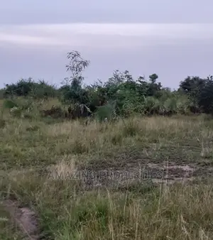 350 Acrez of Land at Sege-Ada