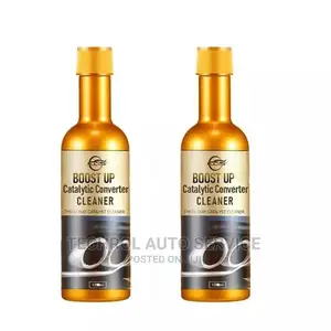Fuel System Cleaner/Catalytic Cleaner
