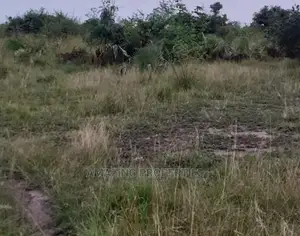 70x100 Plot of Land at Lashibi