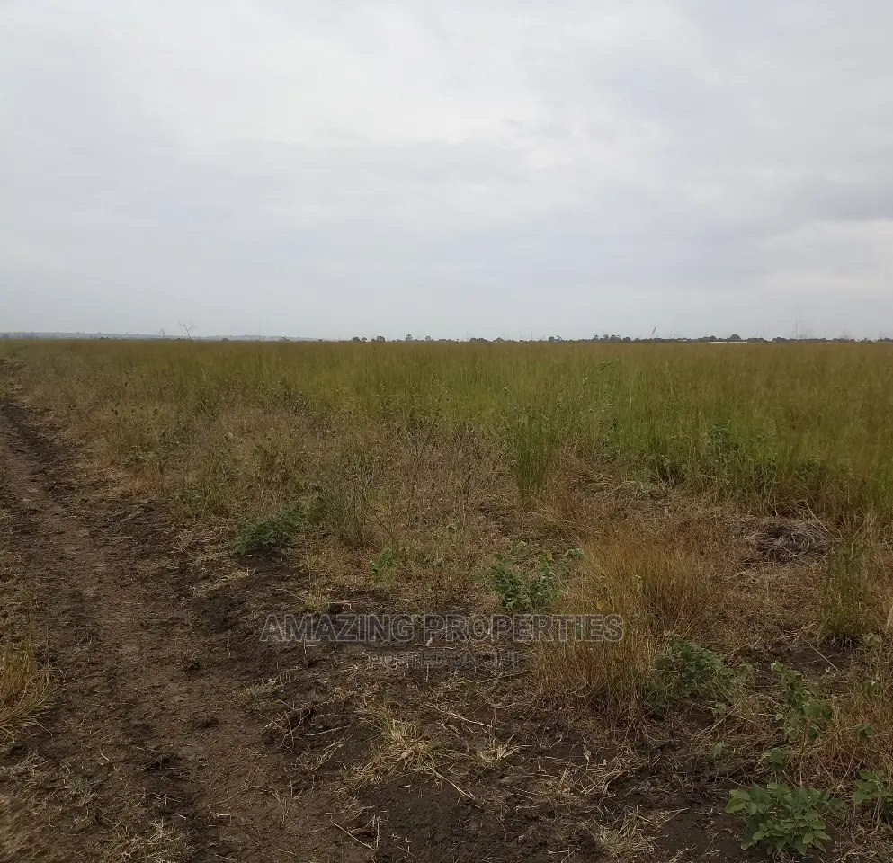 1.1 Acres of Land at Airport Residential