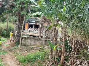 Borehole Drilling Master