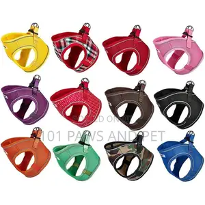 Bunty Harness for Toy Dogs