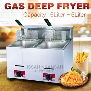 Deep Fryer Gas Double Tank