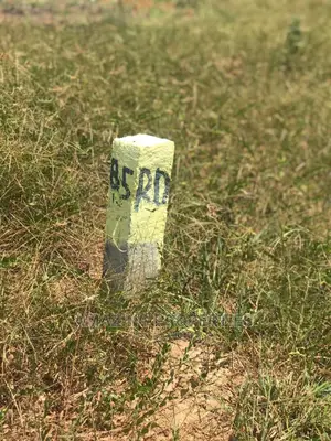 For Sale 120,Acrs of Land at Tsopoli Roadside Land