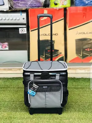 Igloo Cooler Bag
