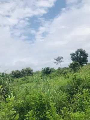 Farmland in Kintampo for Sale, Negotiable