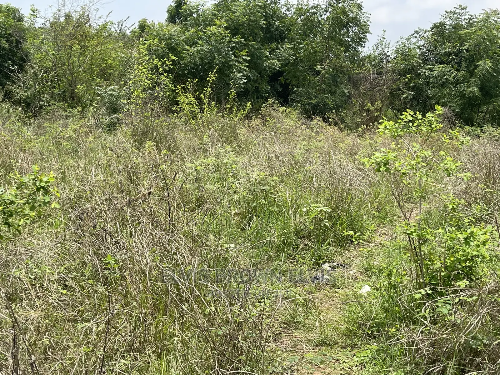 Buy Plots of Land for Sale at West Trasacco Zoomlion Area