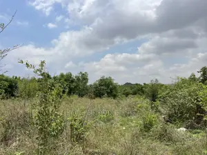 2 Plot of Land for Sale at Santor You Can Also Bring a Car
