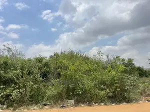 2 Plot of Land for Sale at Santor You Can Also Bring a Car