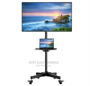 Modern Rolling TV Stand Mobile TV