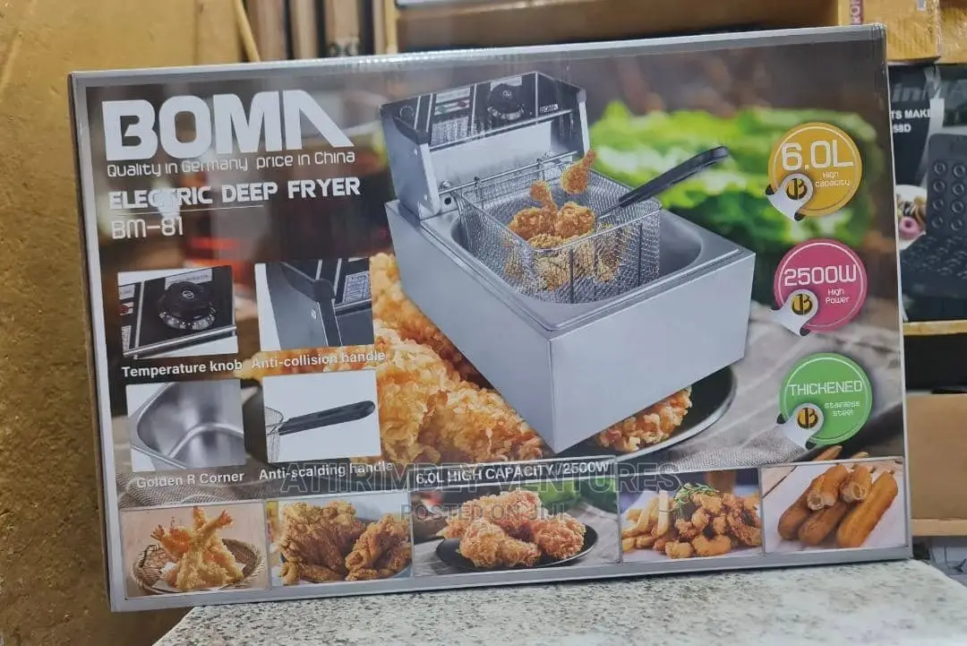 Electric Deep Fryer