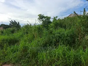 A Land at Antoa for Sale