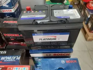 Platinum Batteries - Free Delivery