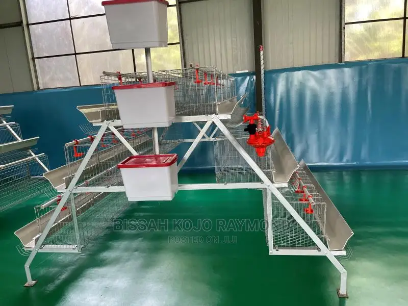 Battery Cage System Poultry House