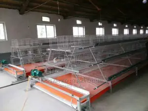 Battery Cage System Poultry House