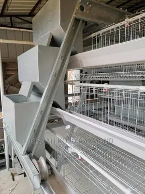 Battery Cage System Poultry House