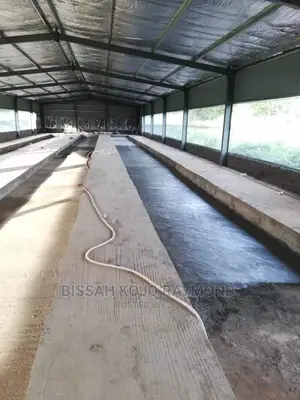 Battery Cage System Poultry House