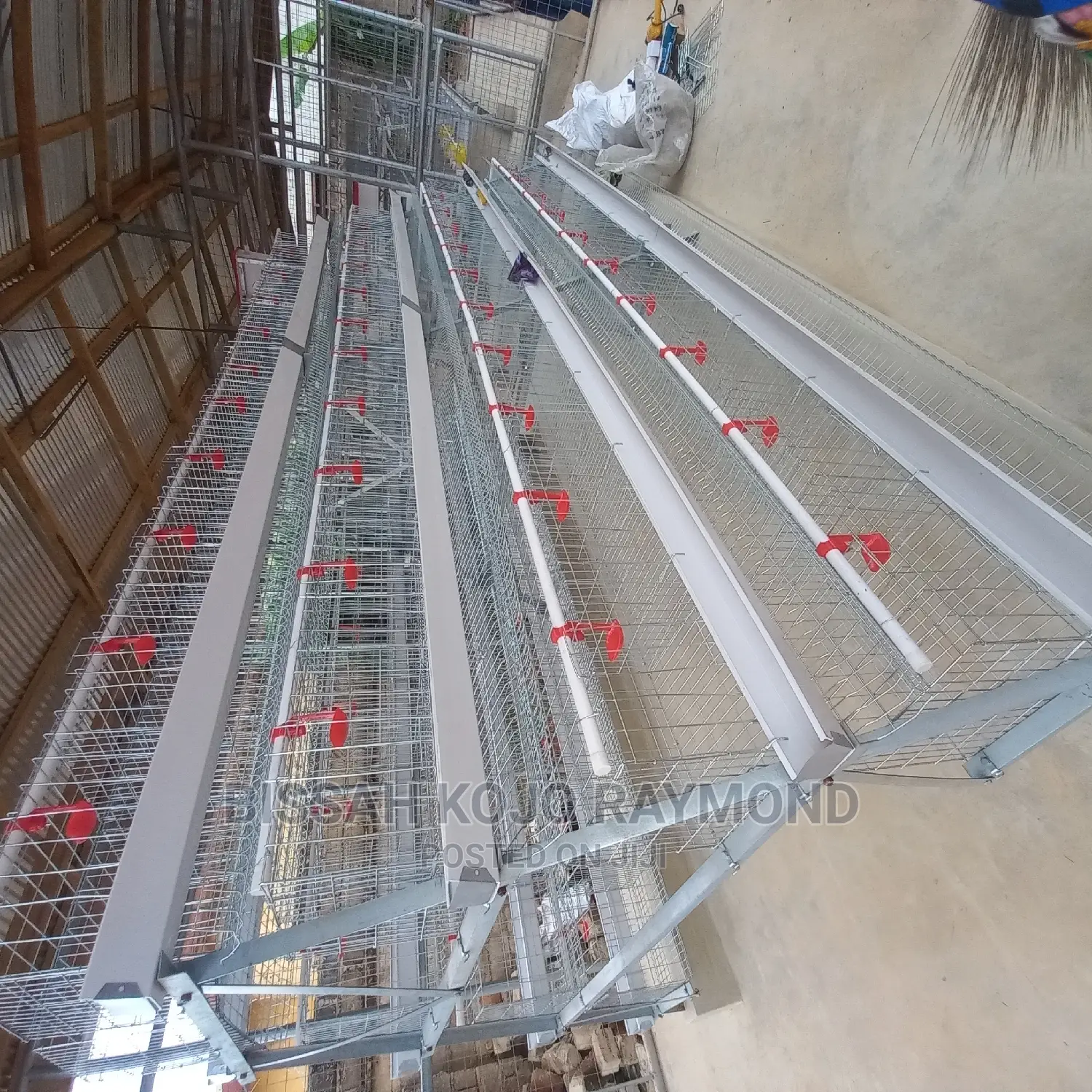 Battery Cage System Poultry House