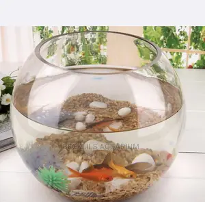Package Glass Fish Bowl