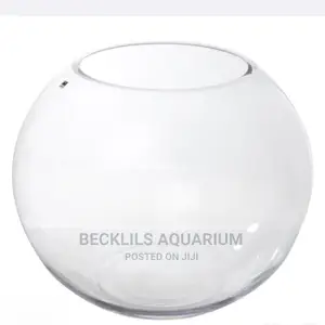 Bigger Glass Bowl