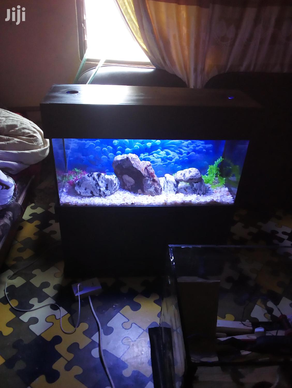 Aquarium With Fish