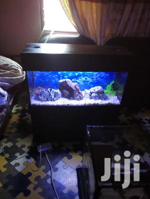 Aquarium With Fish
