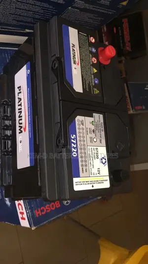 Platinum Batteries Fro South Korea