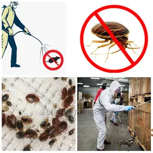 Outdoor and Indoor Pest Control
