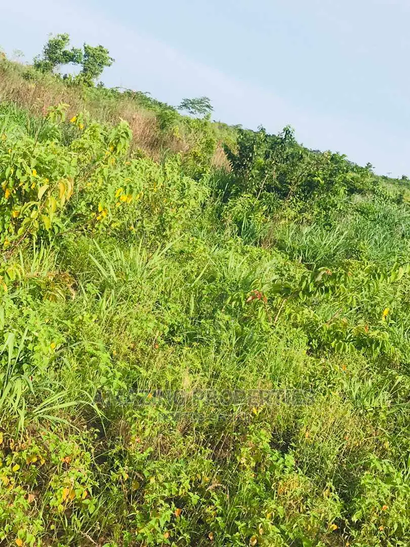 4plots (100/100) For Sale At Adjirigarnor