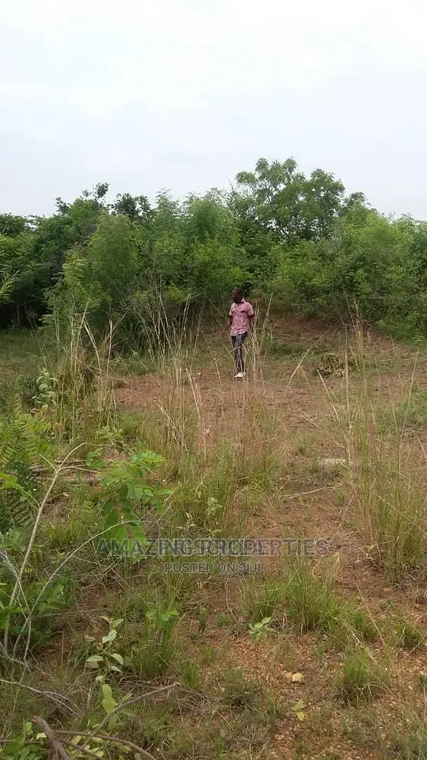 4plots (100/100) For Sale At Adjirigarnor