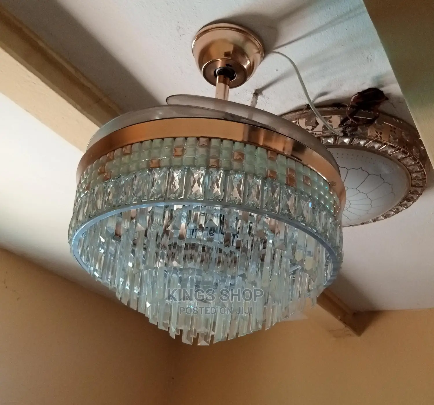 Luxury Ceiling Light With Fan